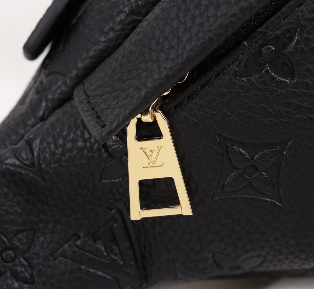 LV Waist Bag
