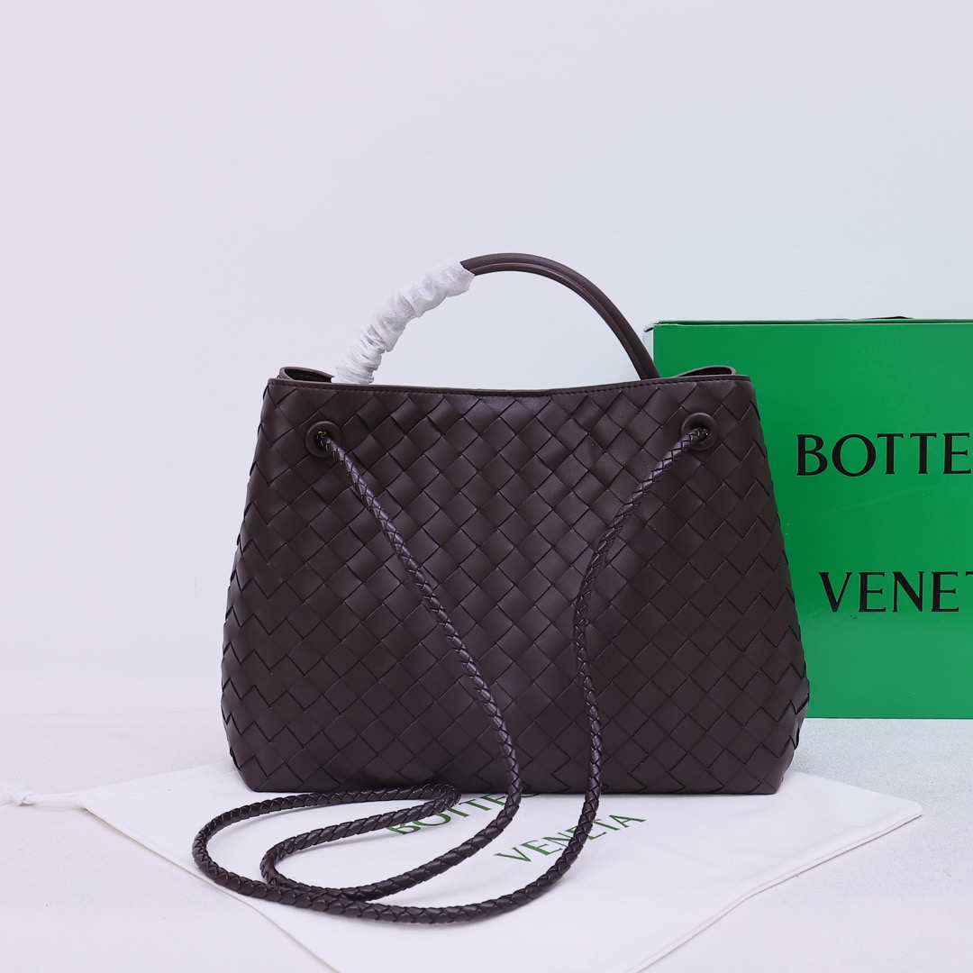 Bottega Veneta Andiamo Handbag