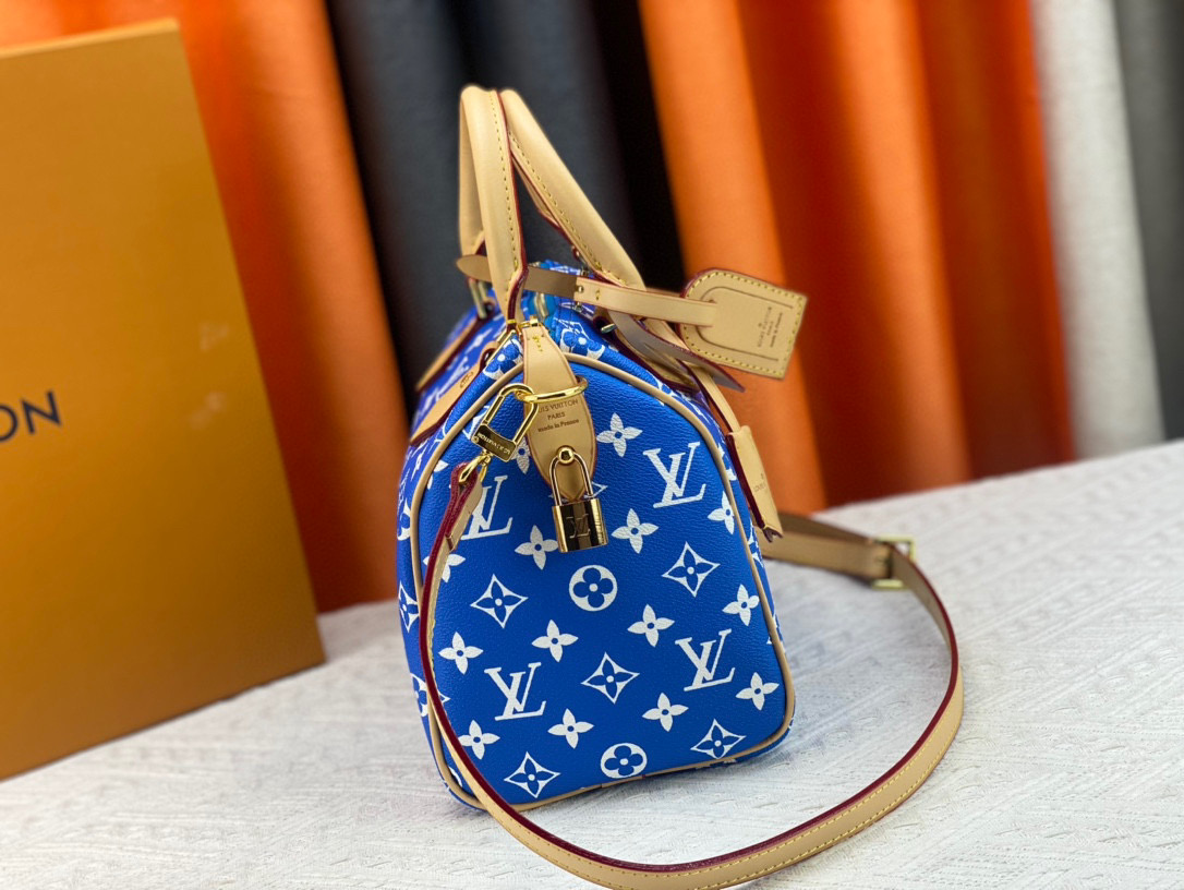LV speedy Bag