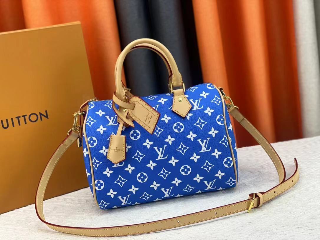 LV speedy Bag