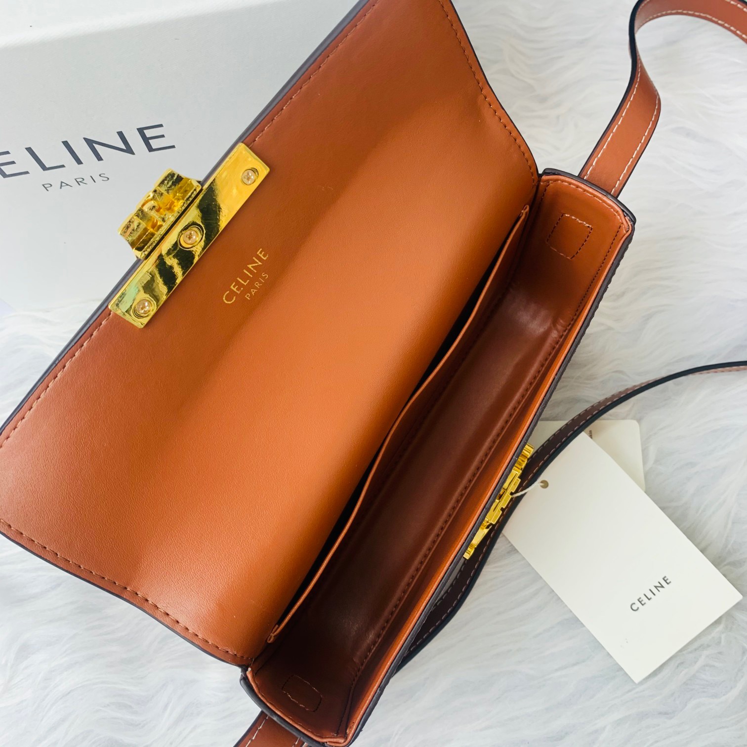 Celine TRIOMPHE Handbag