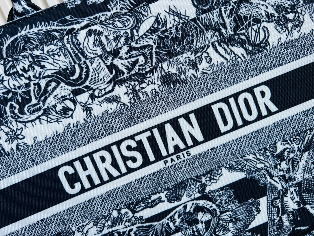 DIOR BAG
