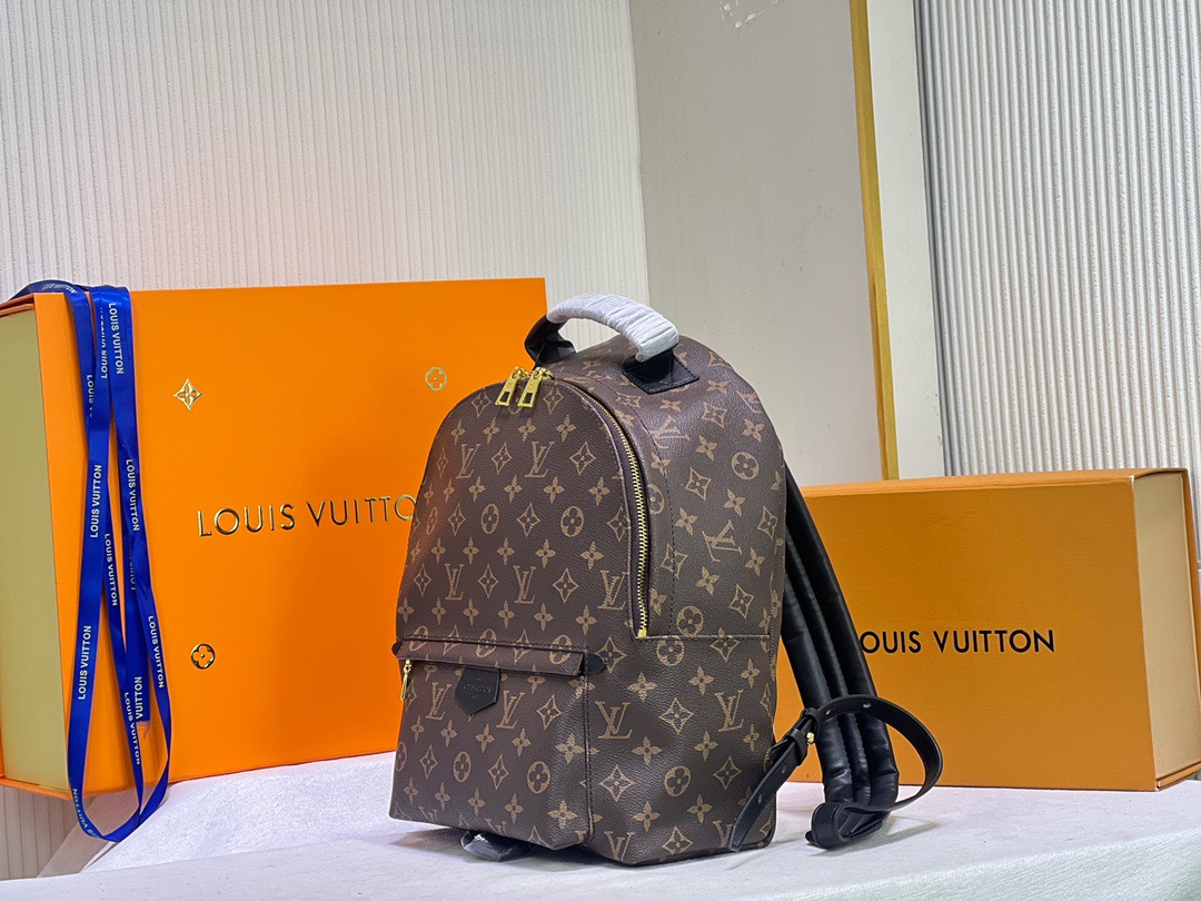 LV Backpack (33cm)