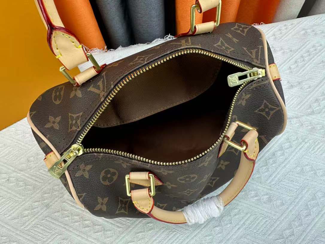 LV Speedy Bag (30cm)