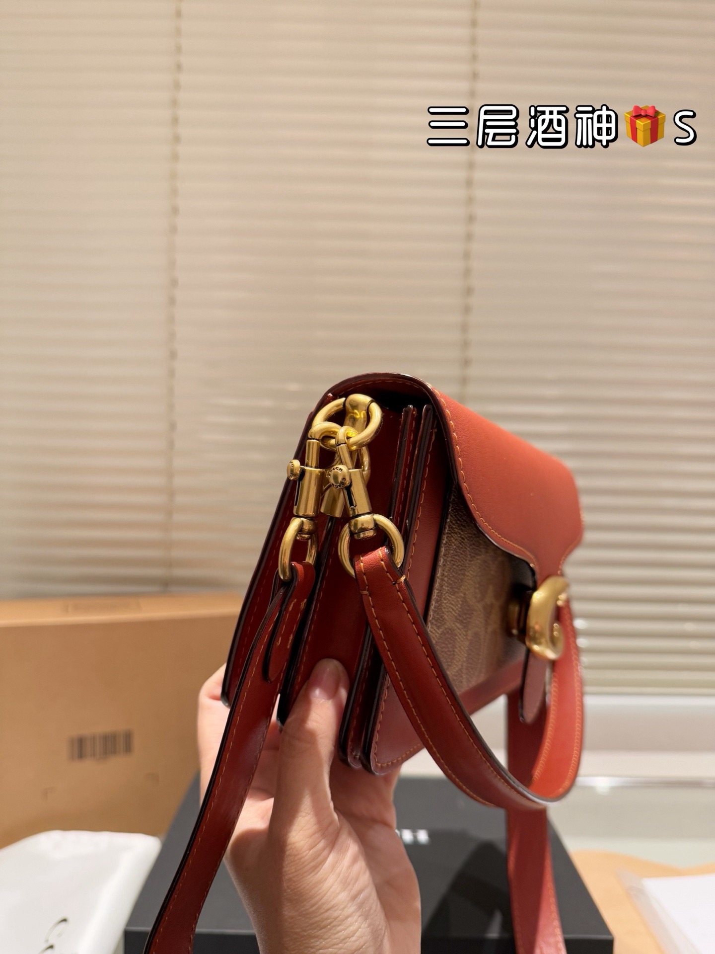 Coach Handbag（26cm）