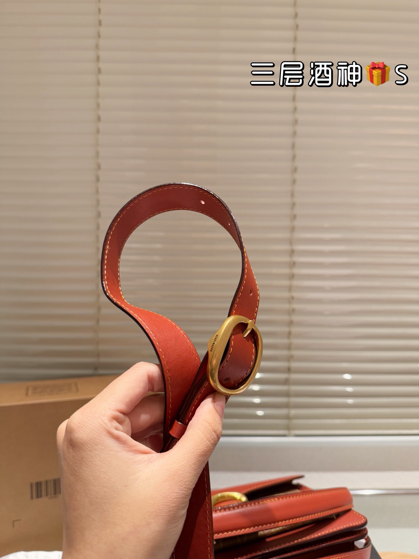 Coach Handbag（26cm）