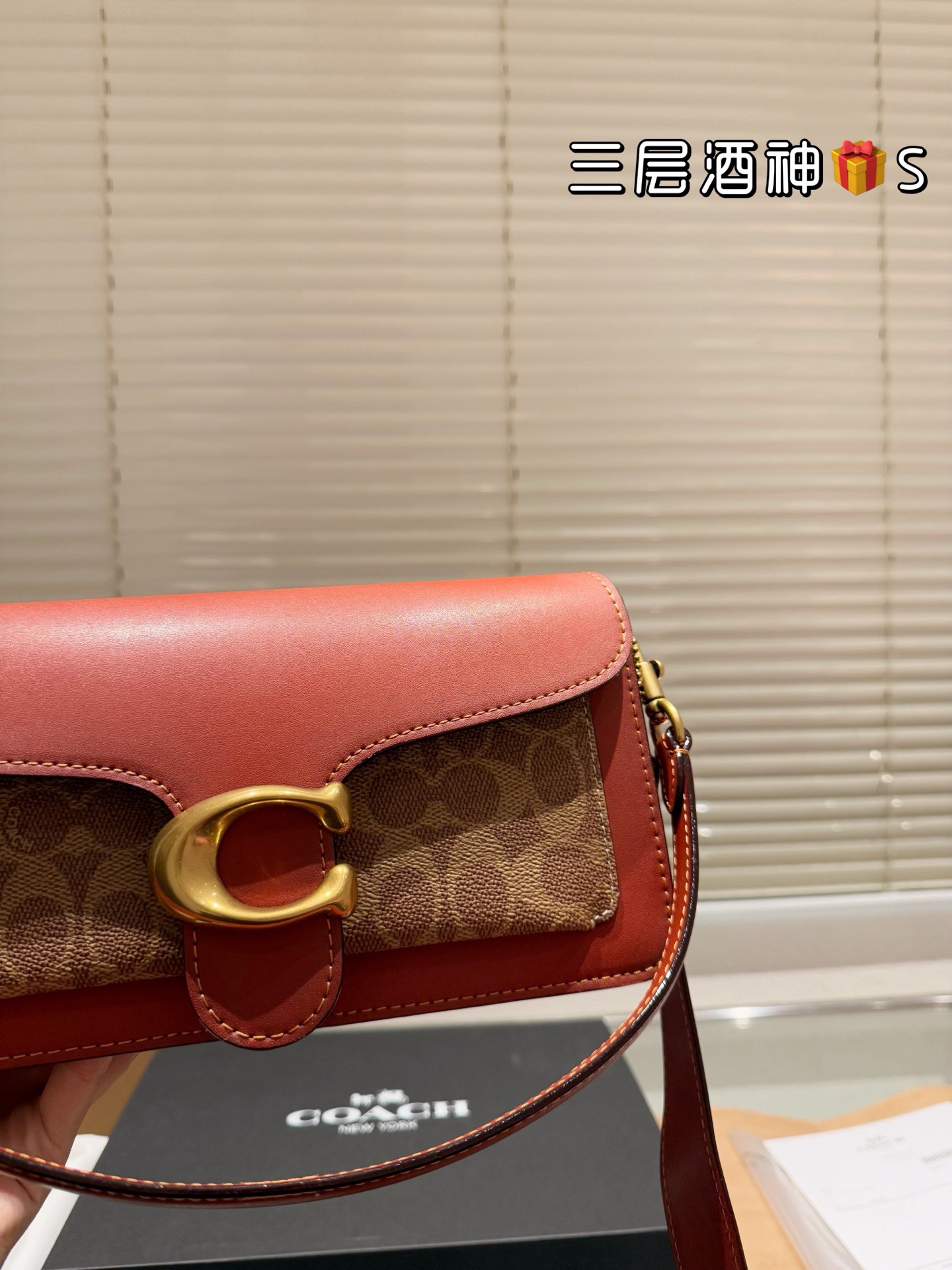 Coach Handbag（26cm）