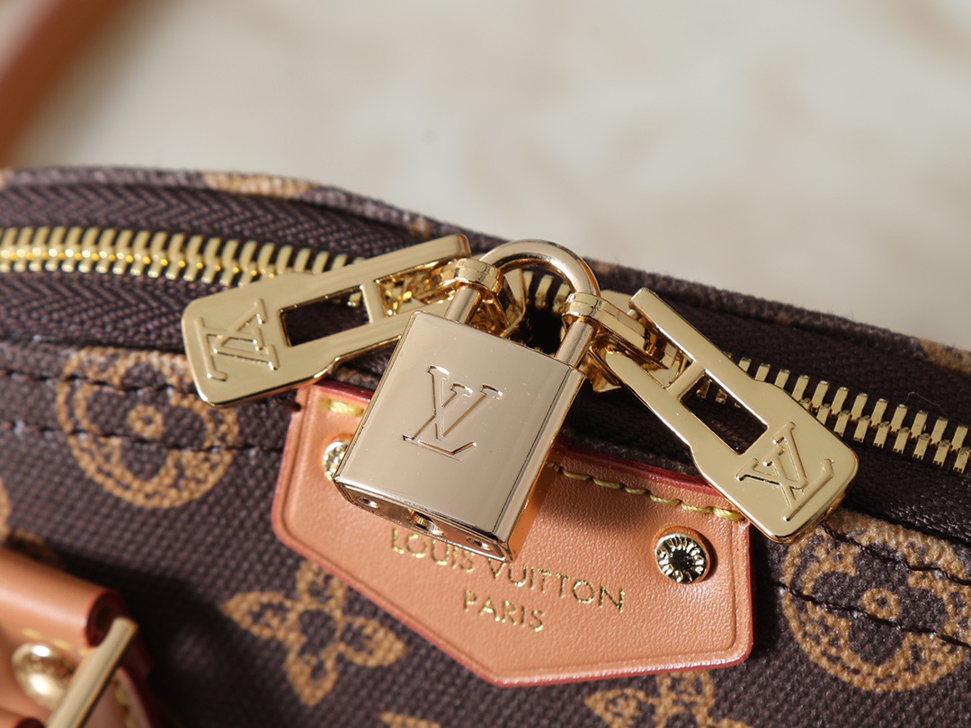 LV bag