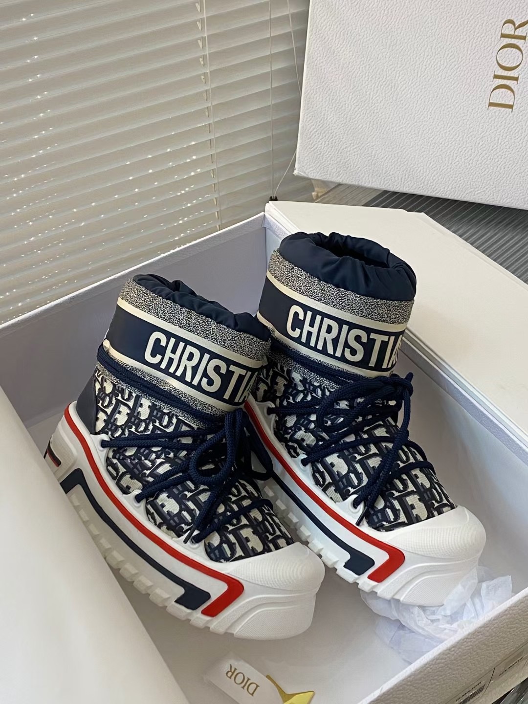 DIOR ALPS SNOW BOOTS