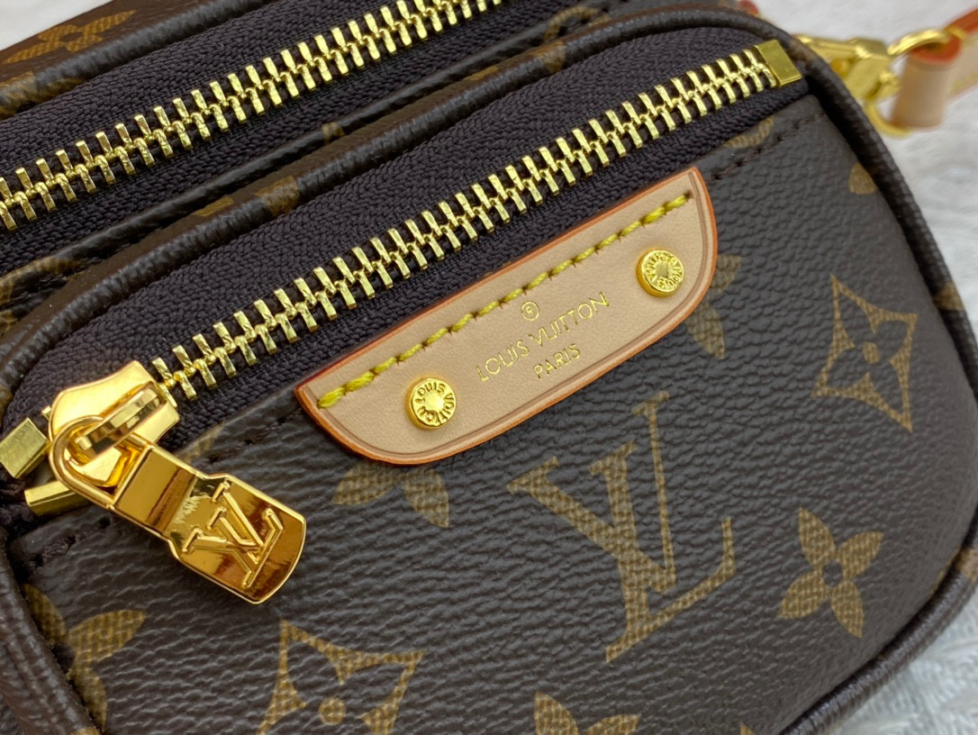LV Mini Bumbag