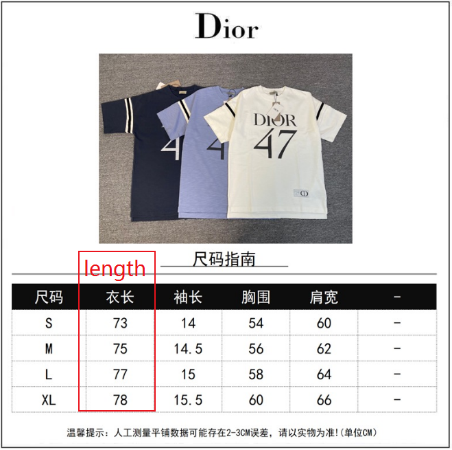 DIOR T shirt