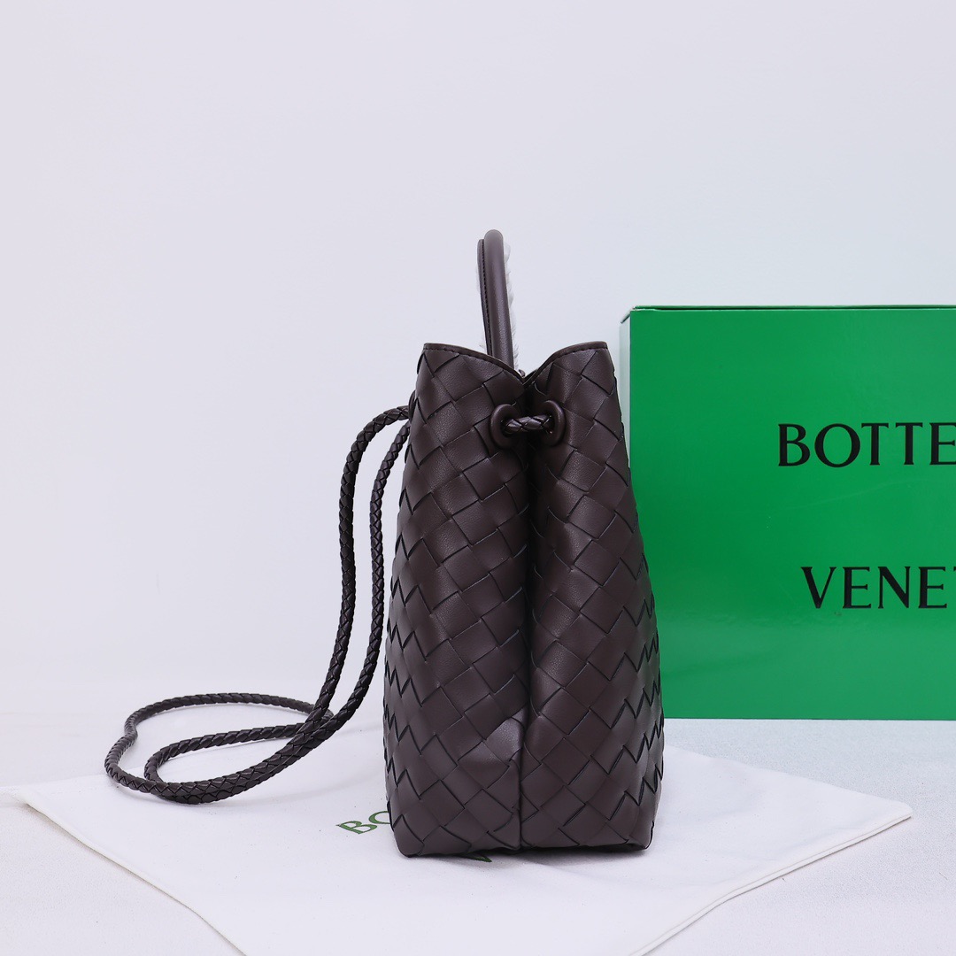 Bottega Veneta Andiamo Handbag