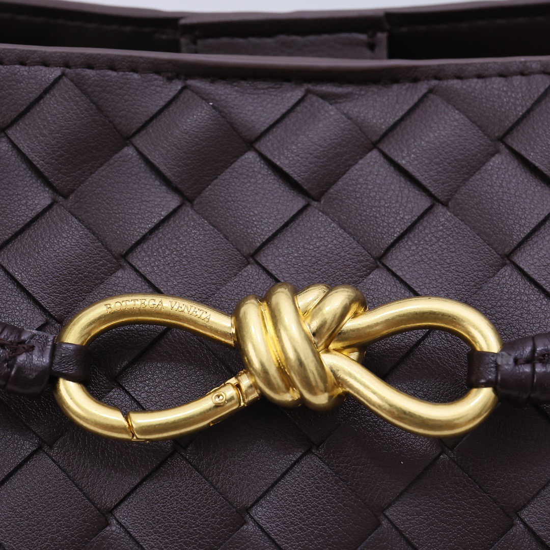 Bottega Veneta Andiamo Handbag