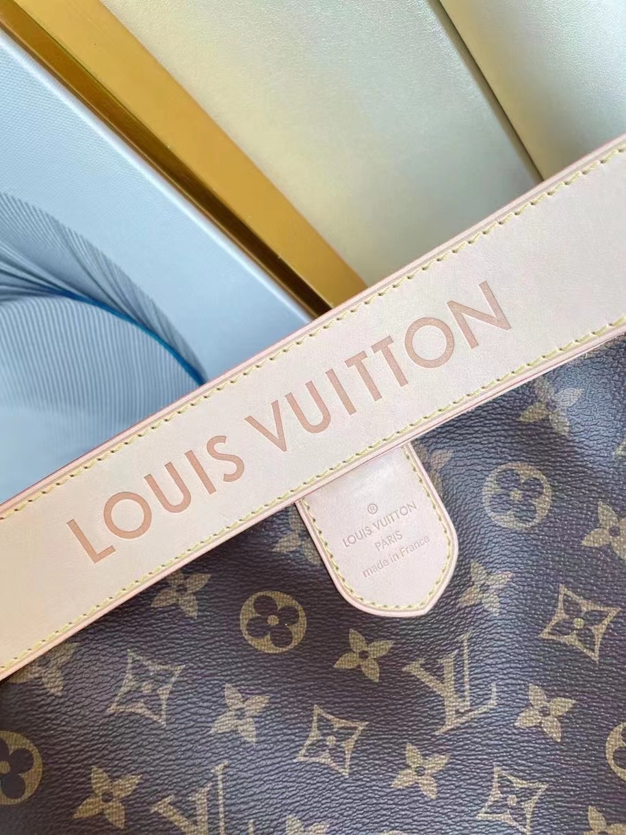 LV Bag