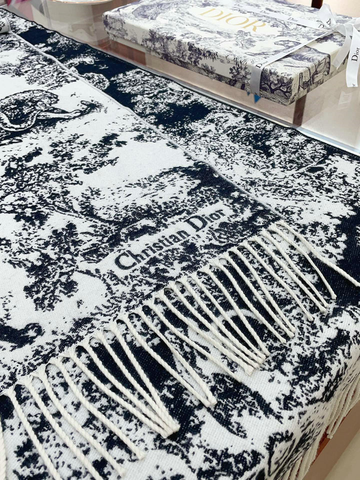 DIOR  Scarf