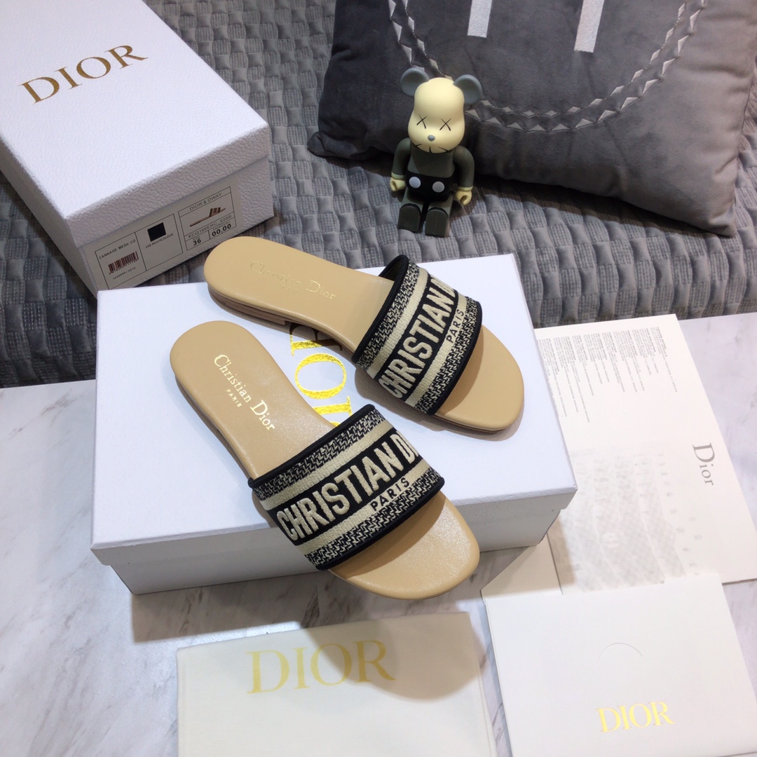 DIOR SLIDES