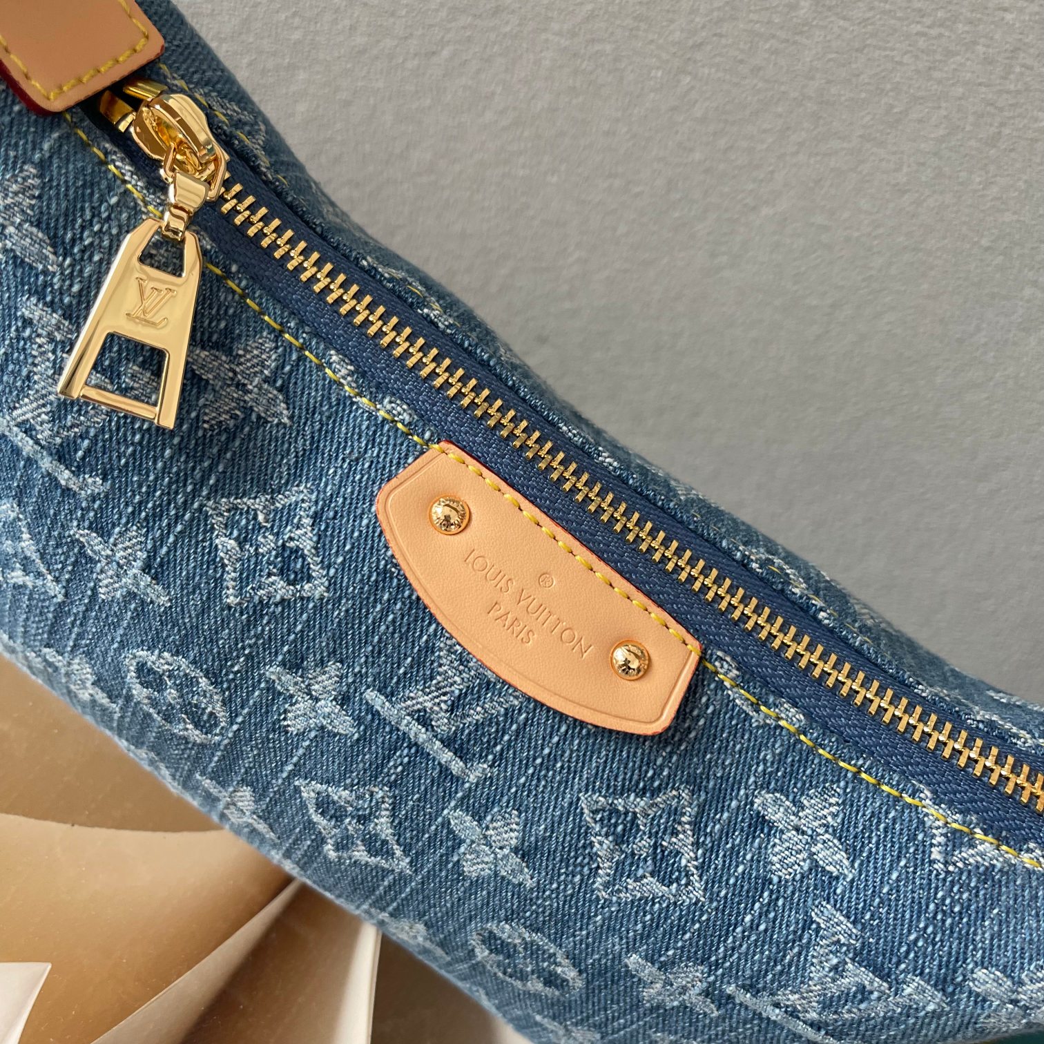 Louis Vuitton Bag