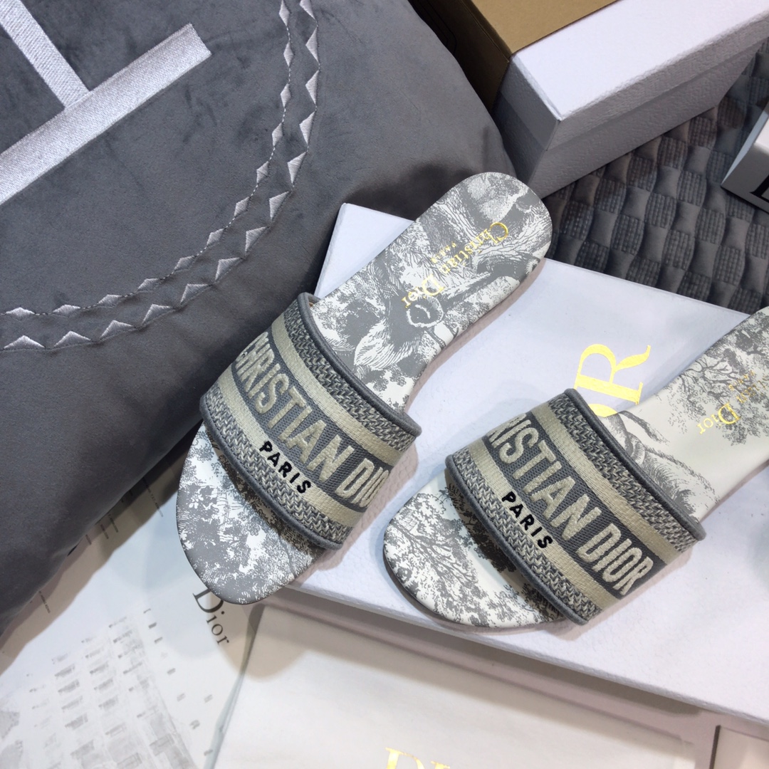 DIOR SLIDES