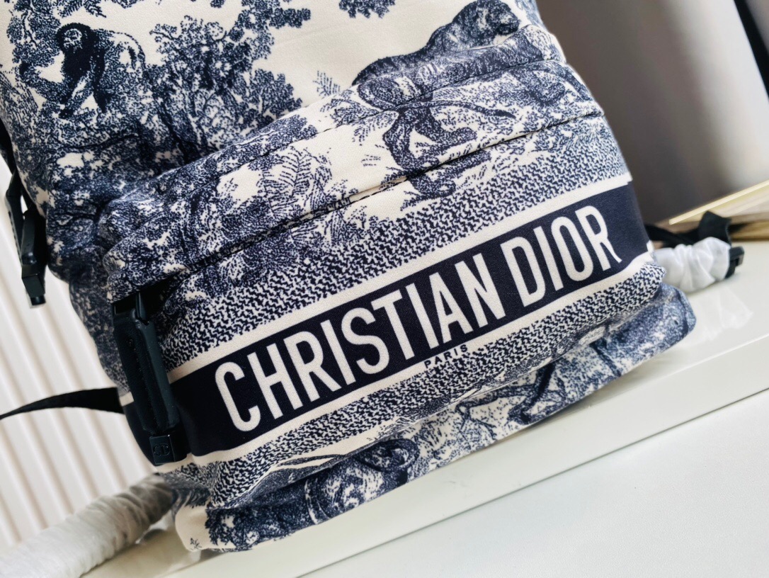 DIOR BAG