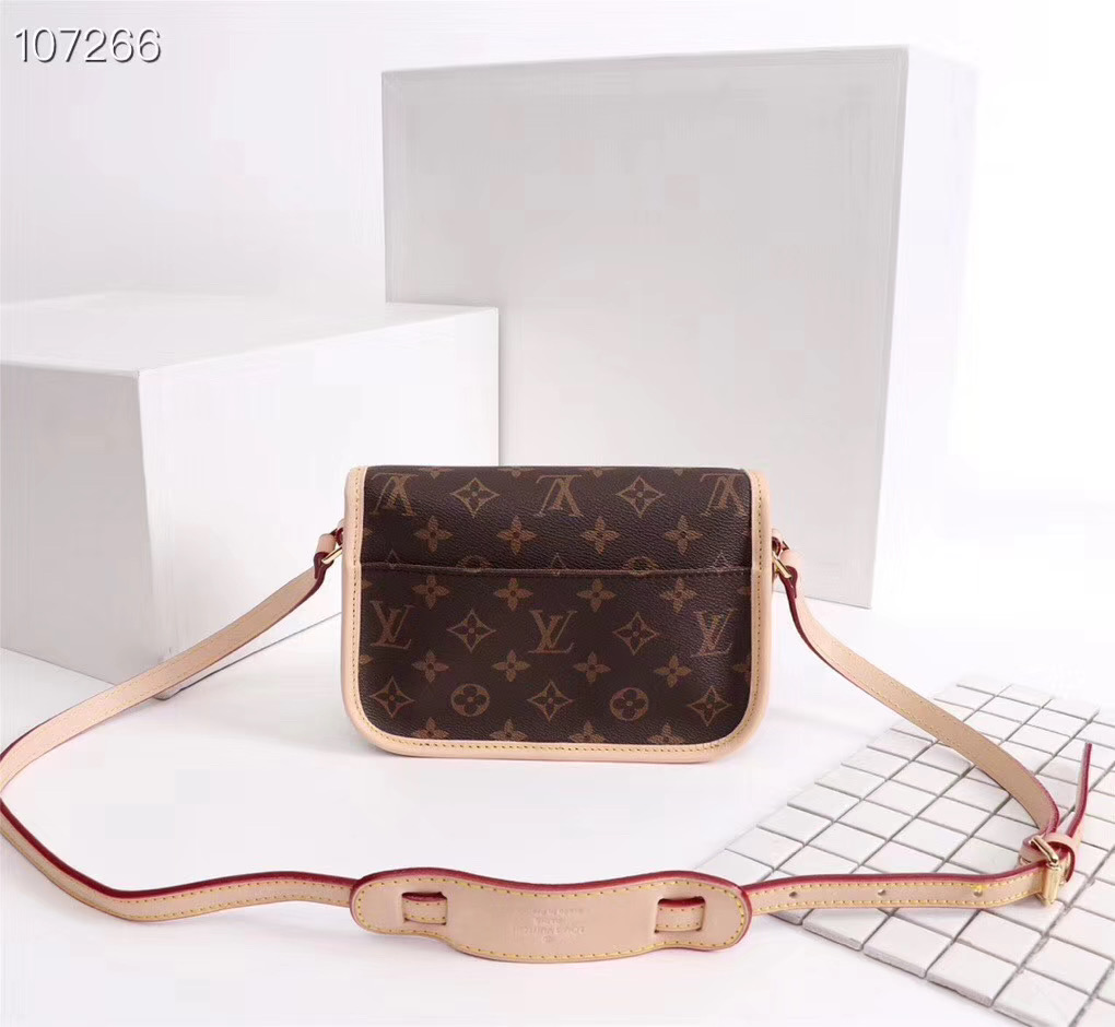 Louis Vuitton Bag