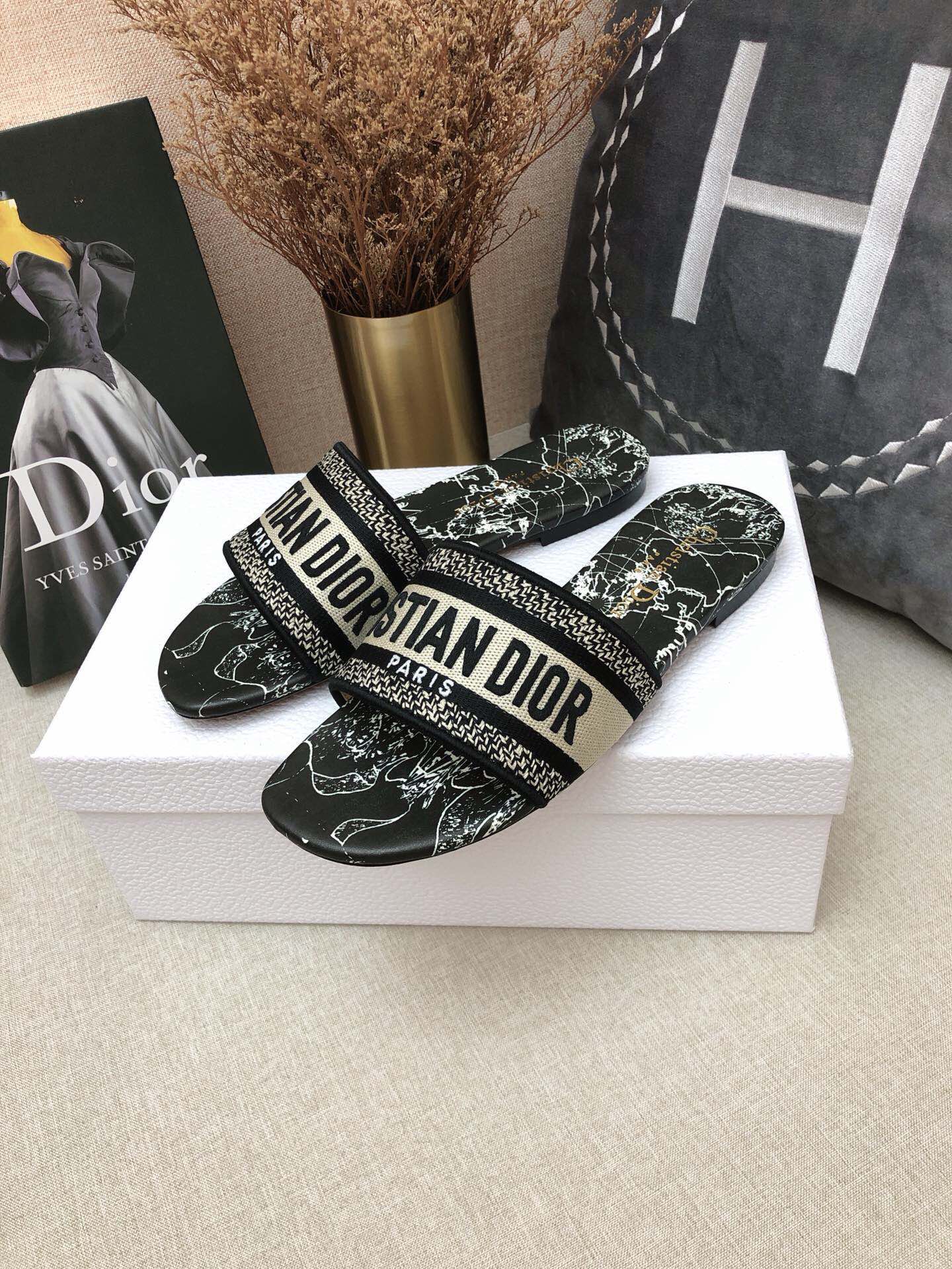 DIOR SLIDES