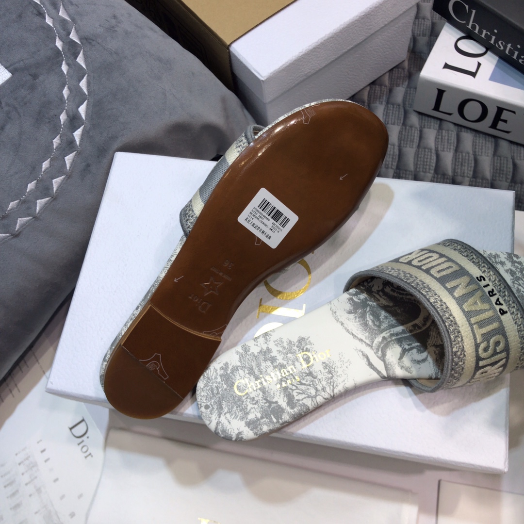 DIOR SLIDES