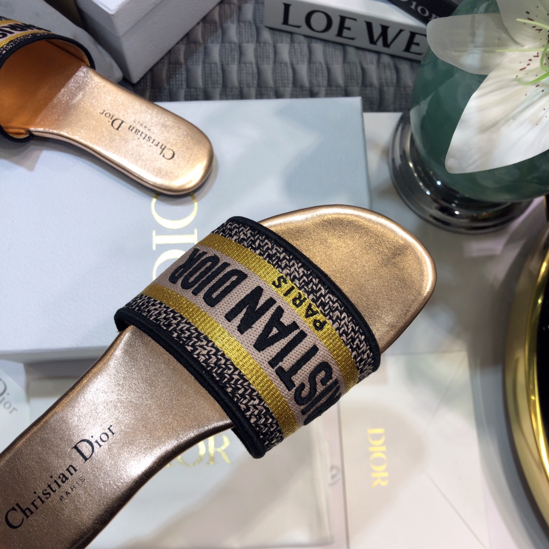 DIOR SLIDES