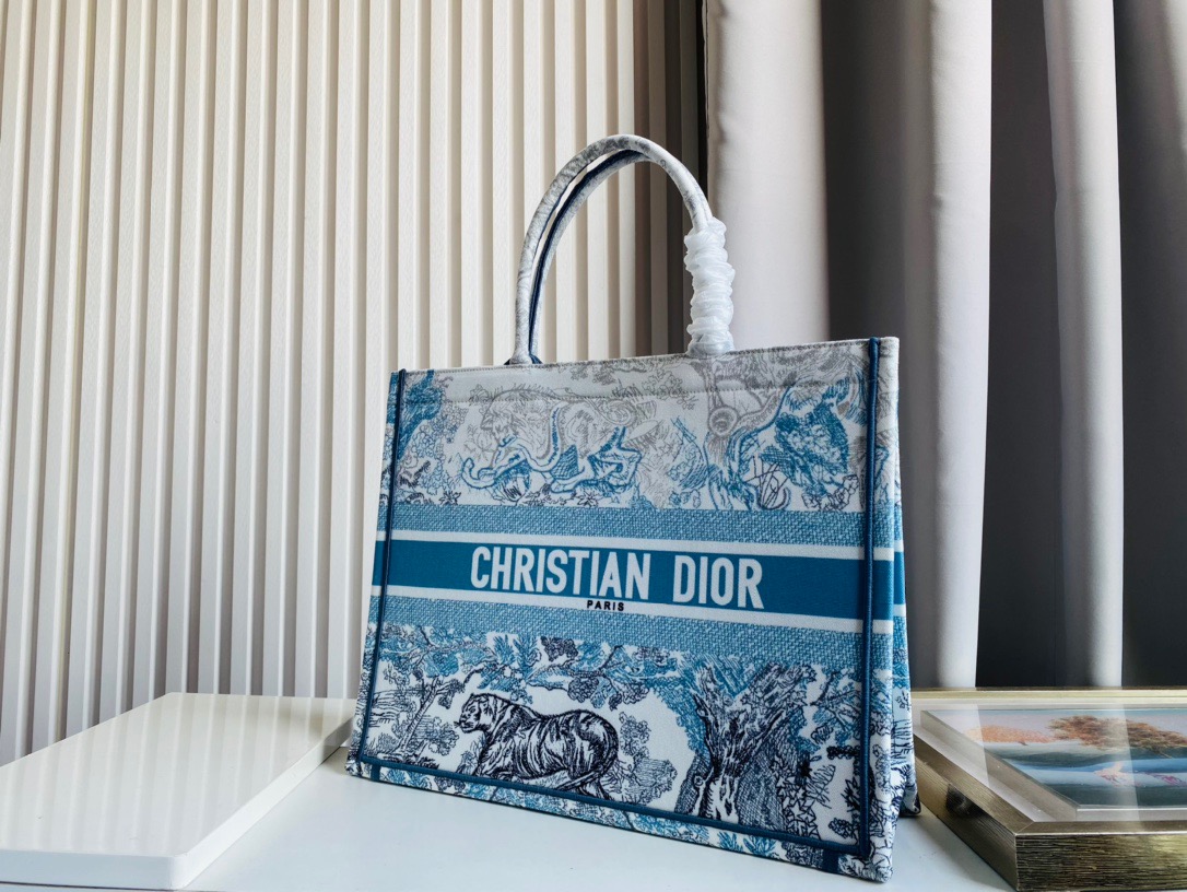 DIOR BAG