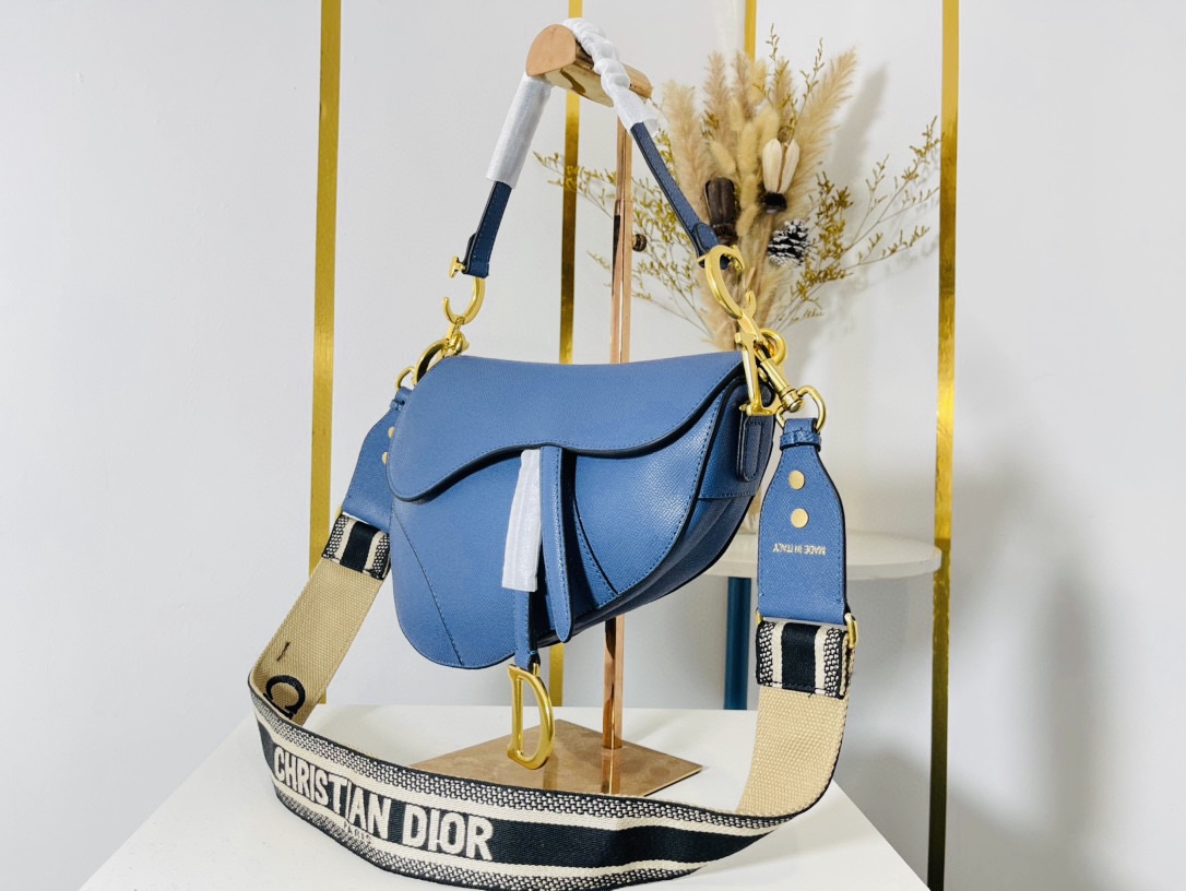 DIOR CD SADDLE BAG