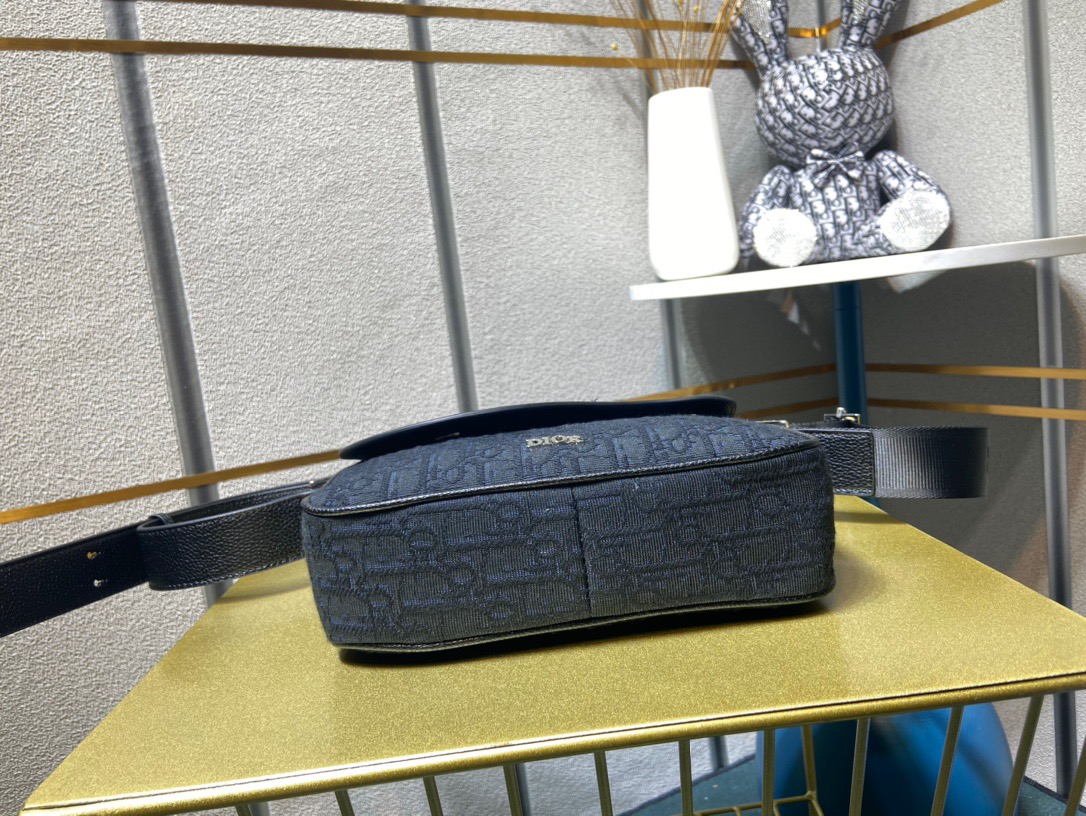 DIOR CD SADDLE BAG