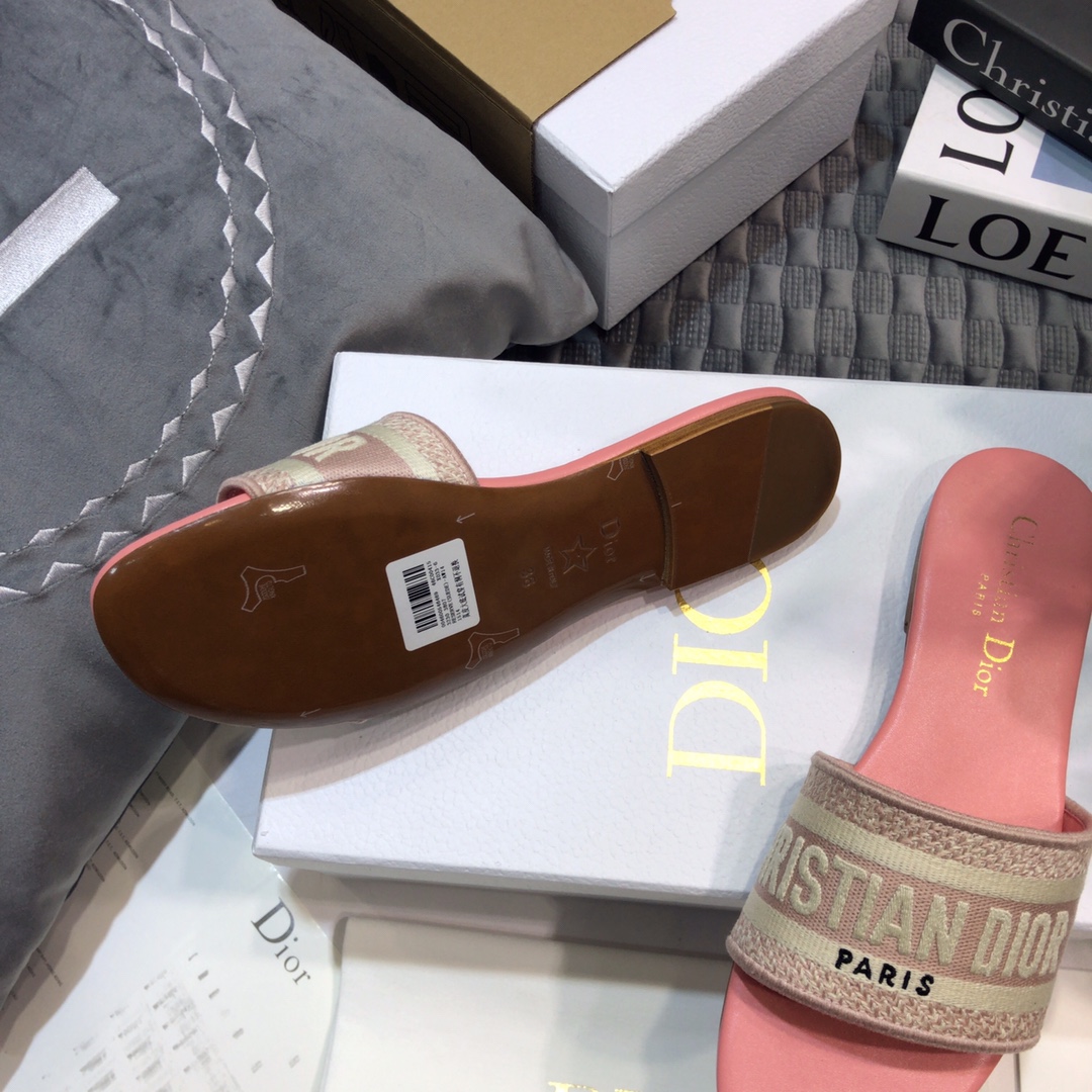 DIOR SLIDES