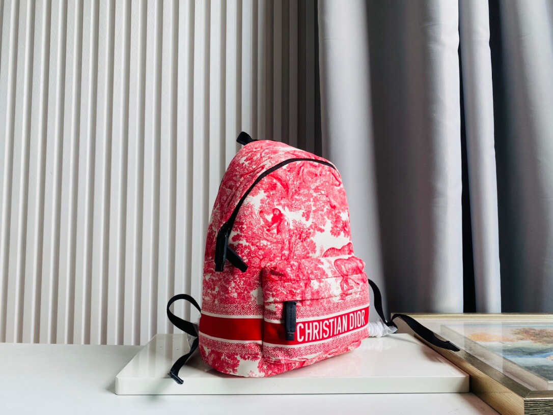 DIOR BAG