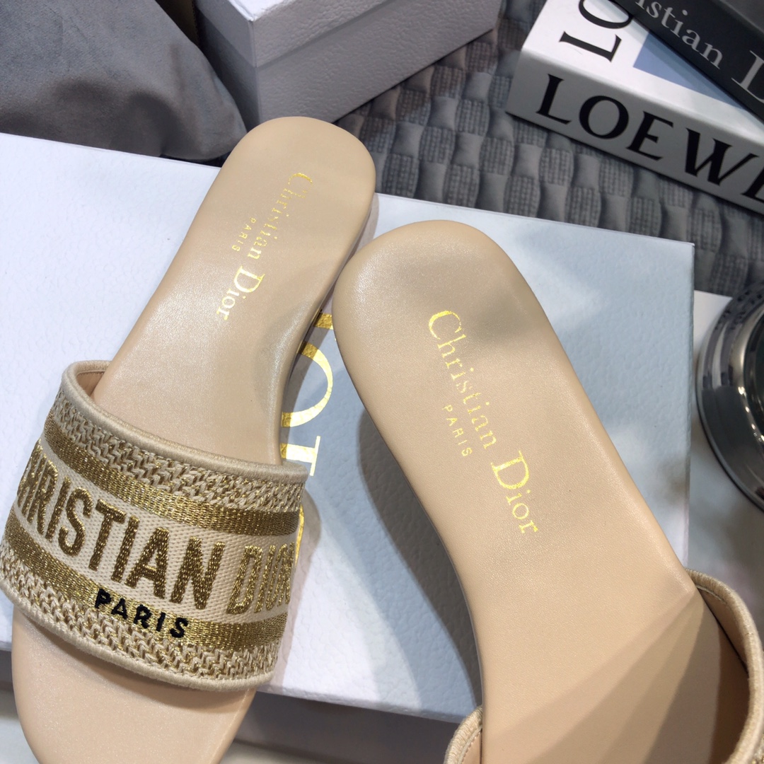 DIOR SLIDES