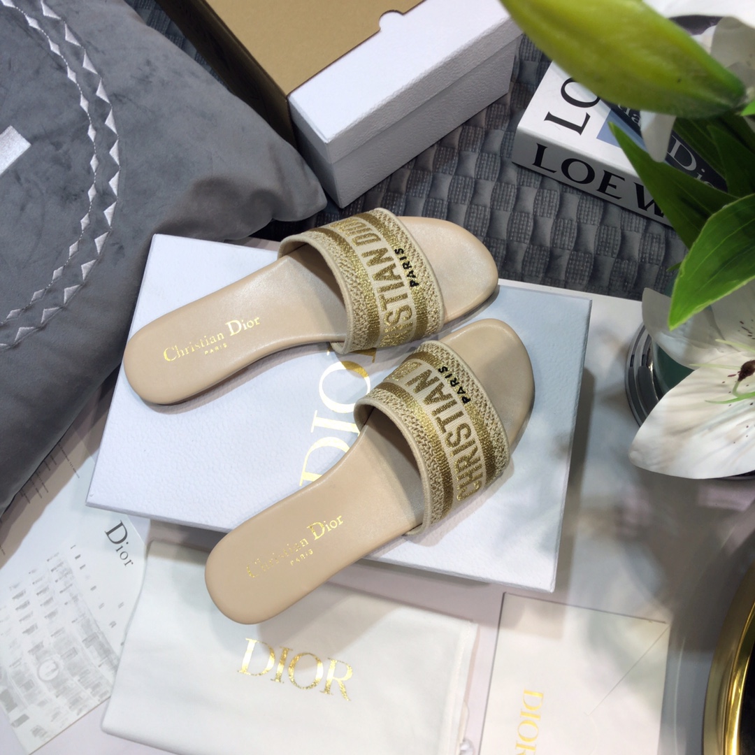DIOR SLIDES