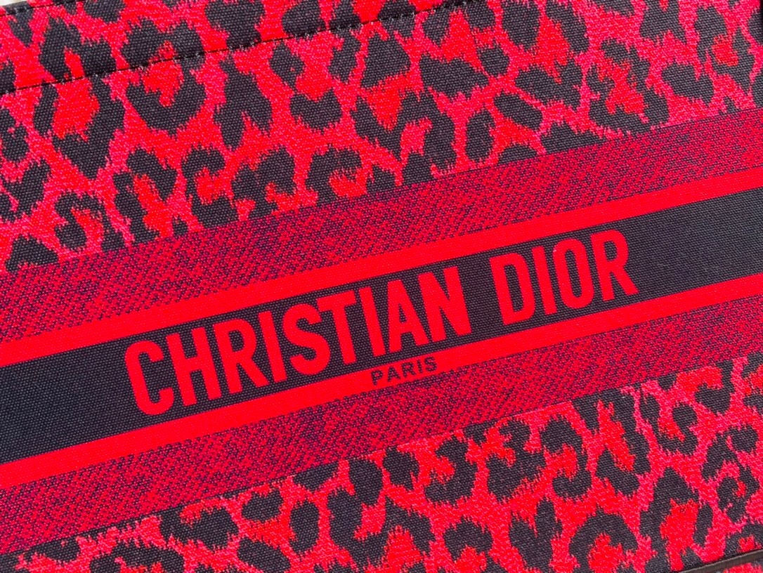 DIOR BAG