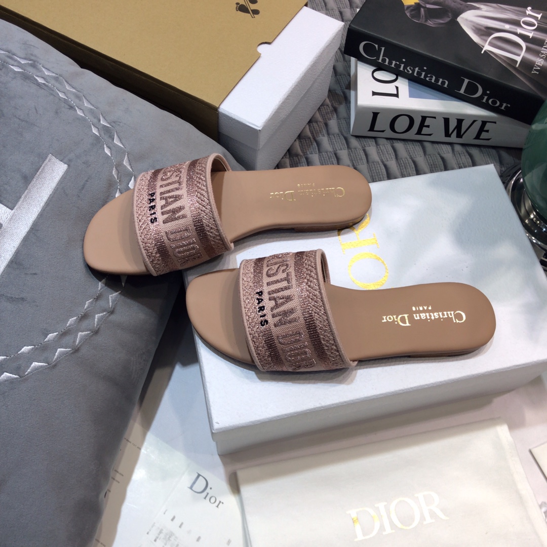 DIOR SLIDES