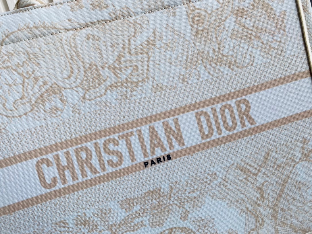 DIOR BAG