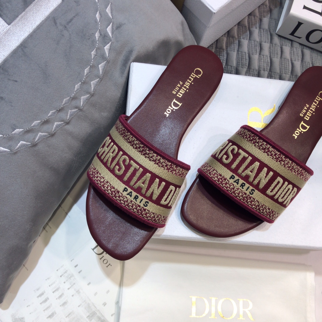 DIOR SLIDES