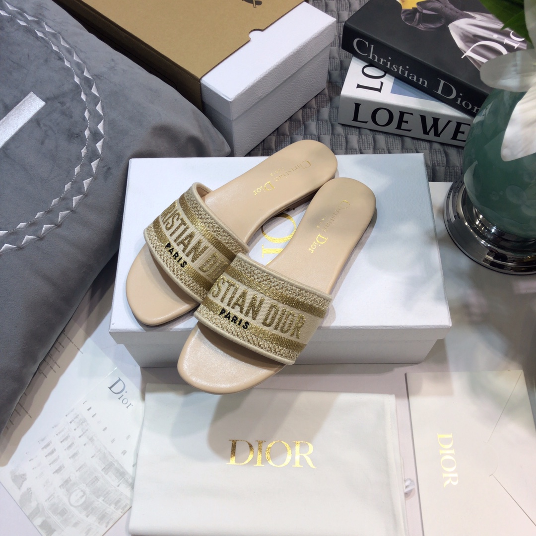 DIOR SLIDES