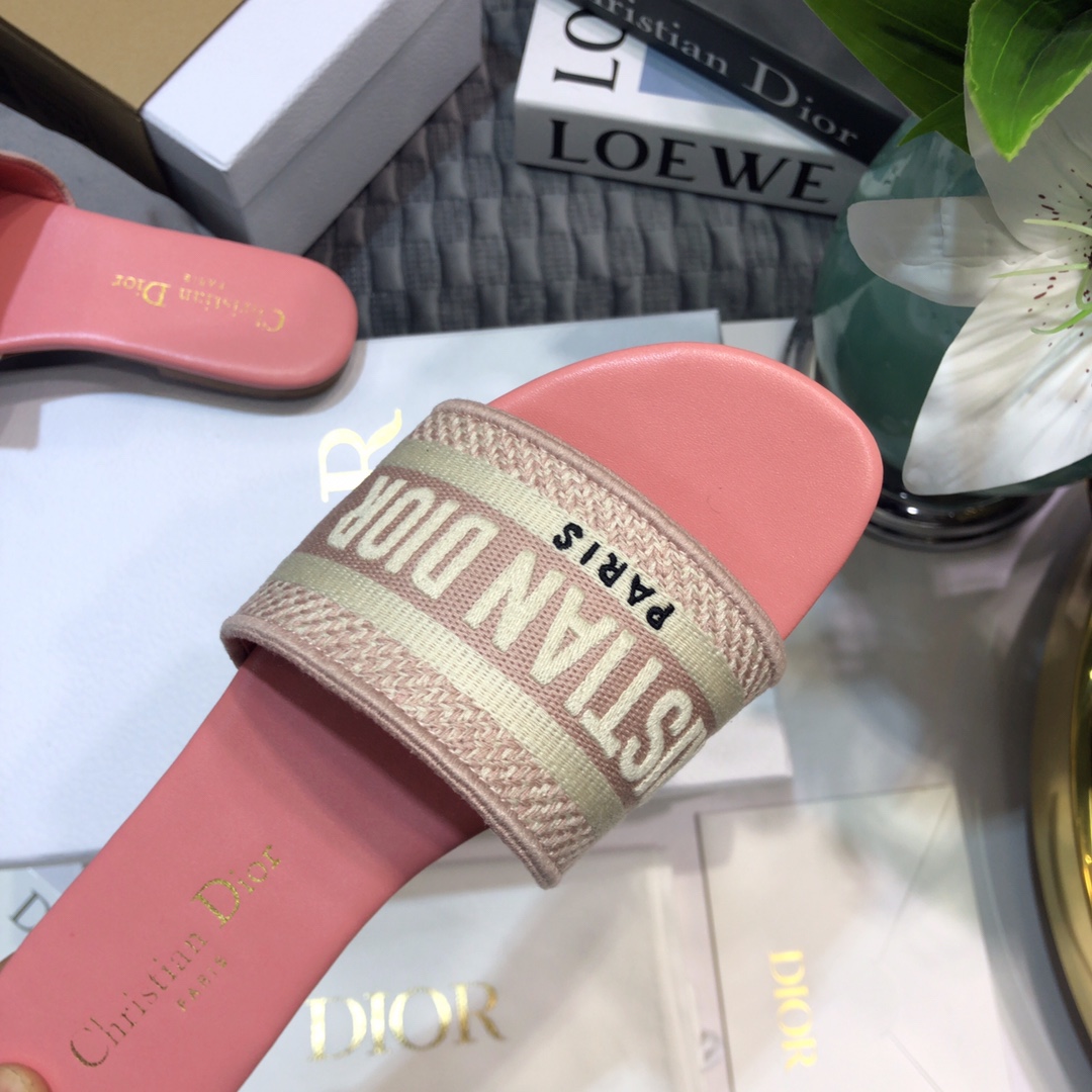 DIOR SLIDES
