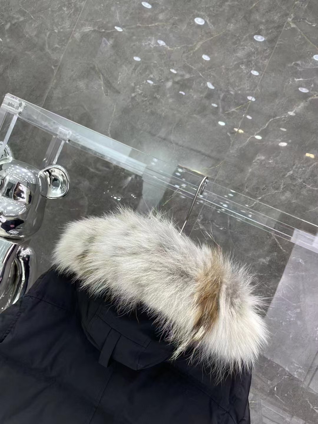 CANADA GOOSE down jacket