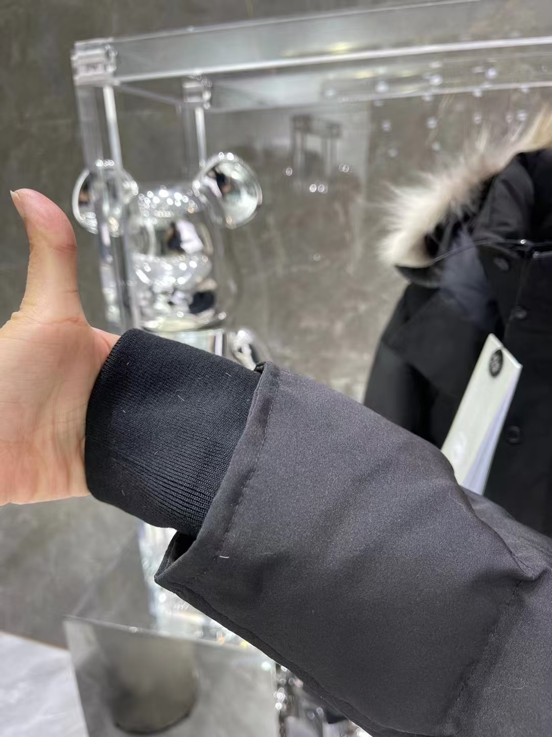 CANADA GOOSE down jacket