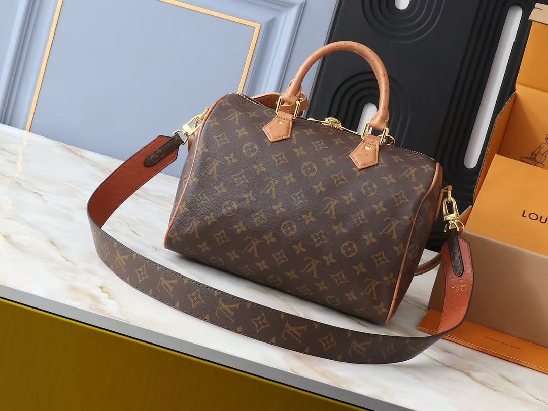 LV Bag (best quality)