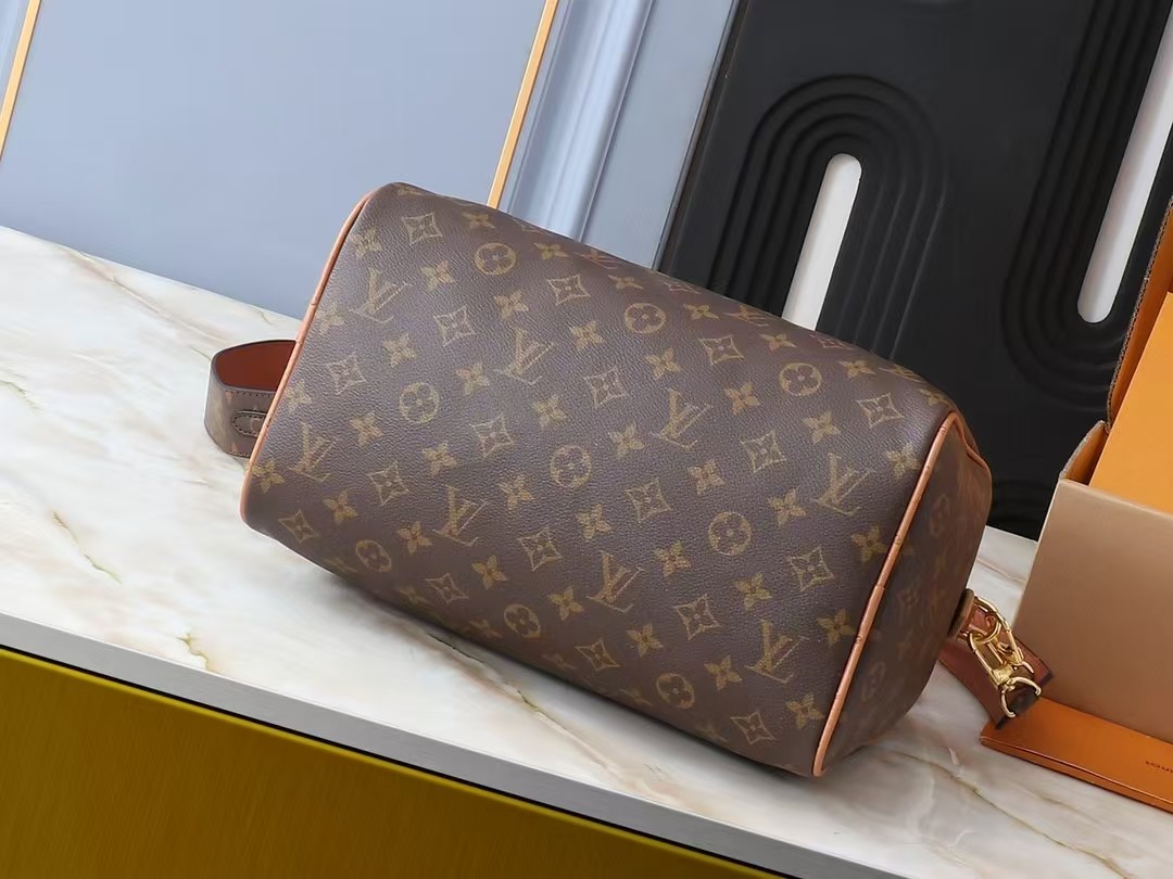 LV Bag (best quality)