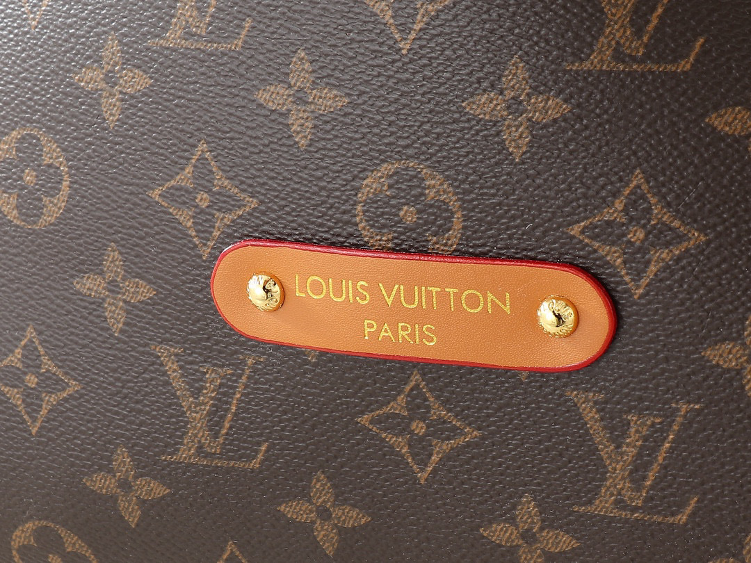 LV Vagabond Hobo Bags