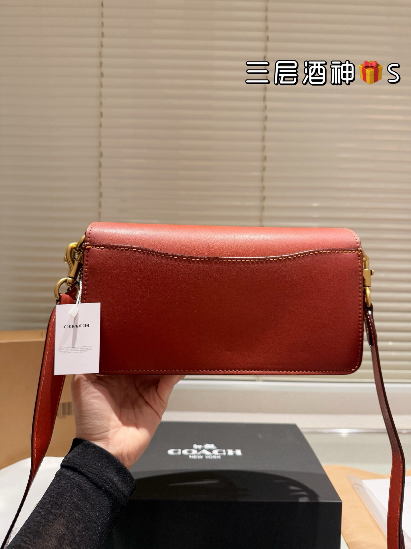 Coach Handbag（26cm）