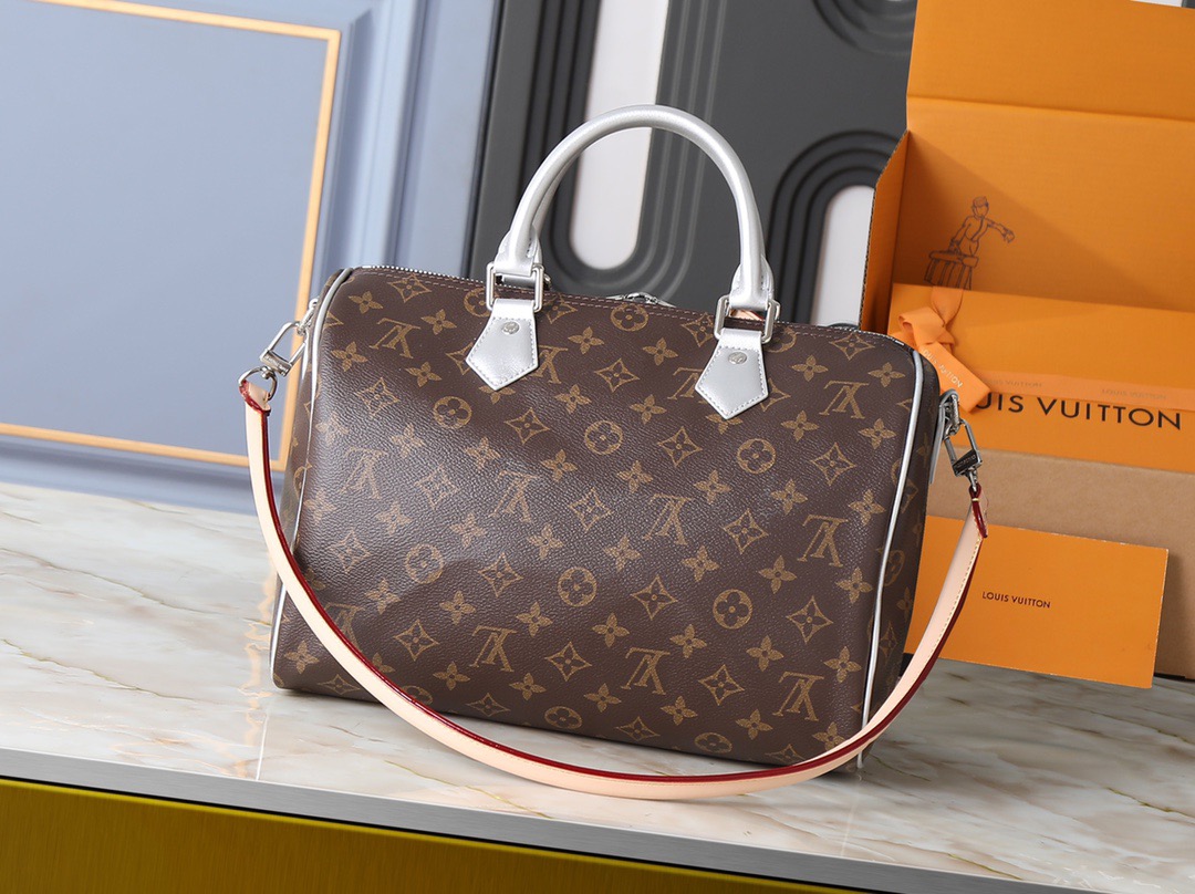 LV bag