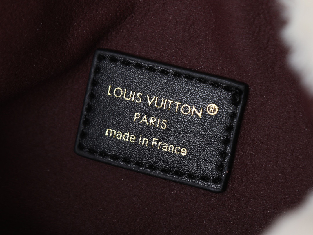 LV bag