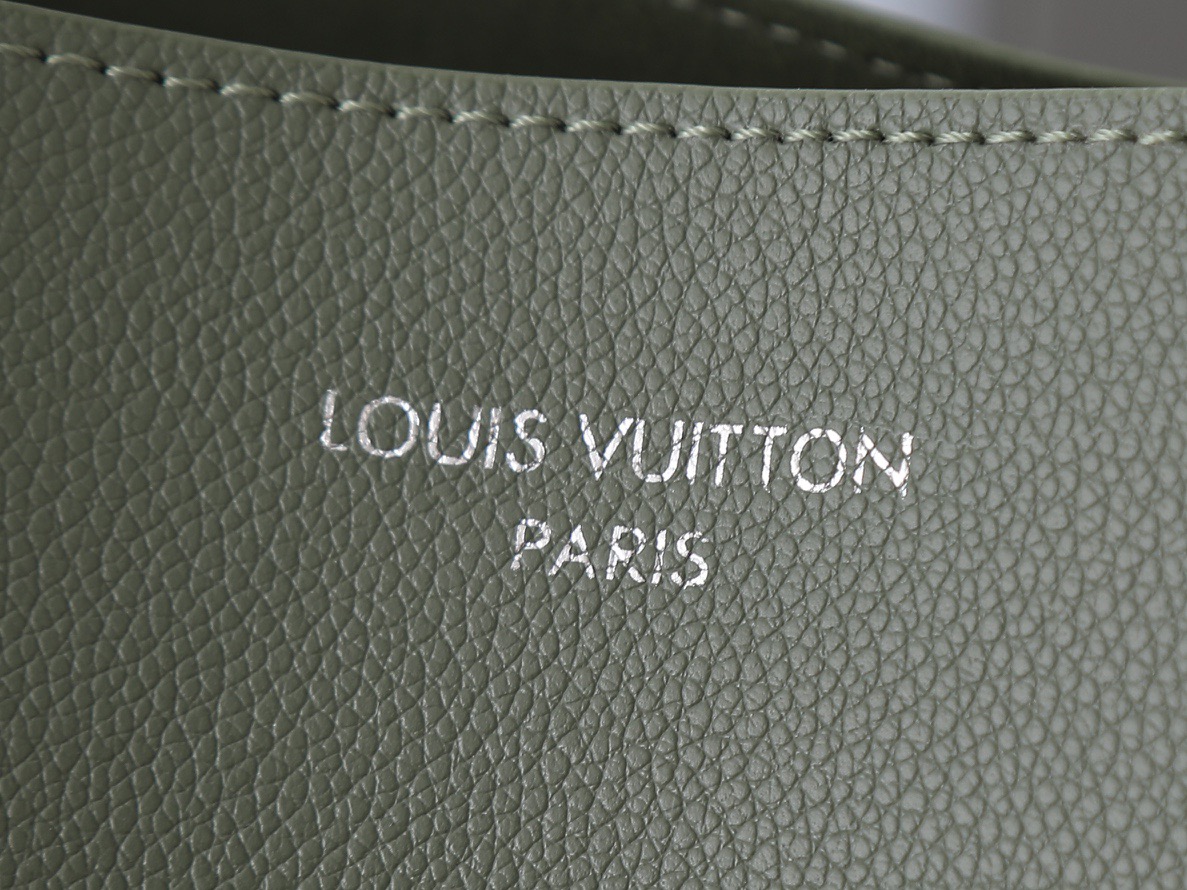LV bag